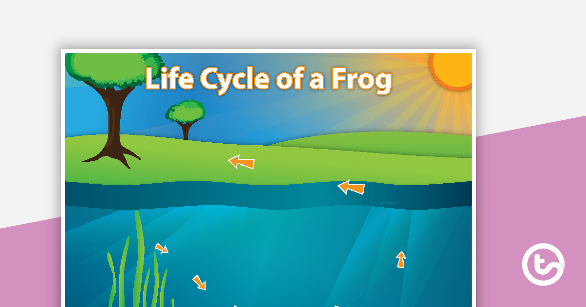 预览图像对于青蛙的生命周期——教学资源