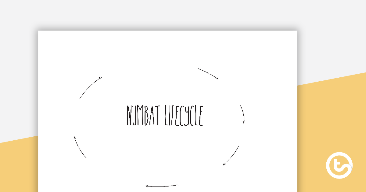 预览图像的Numbat生命周期排序-教学资源