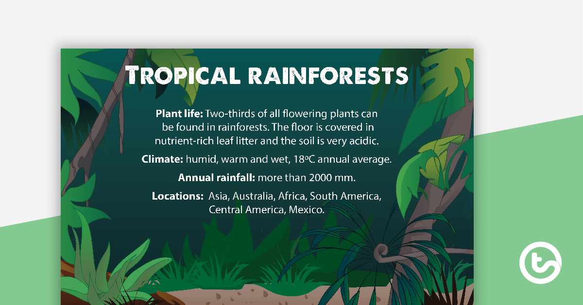 Preview image for Tropical Rainforests Fact Sheet - teaching resource