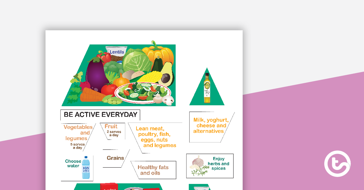 预览图片的食物金字塔活动——教学资源