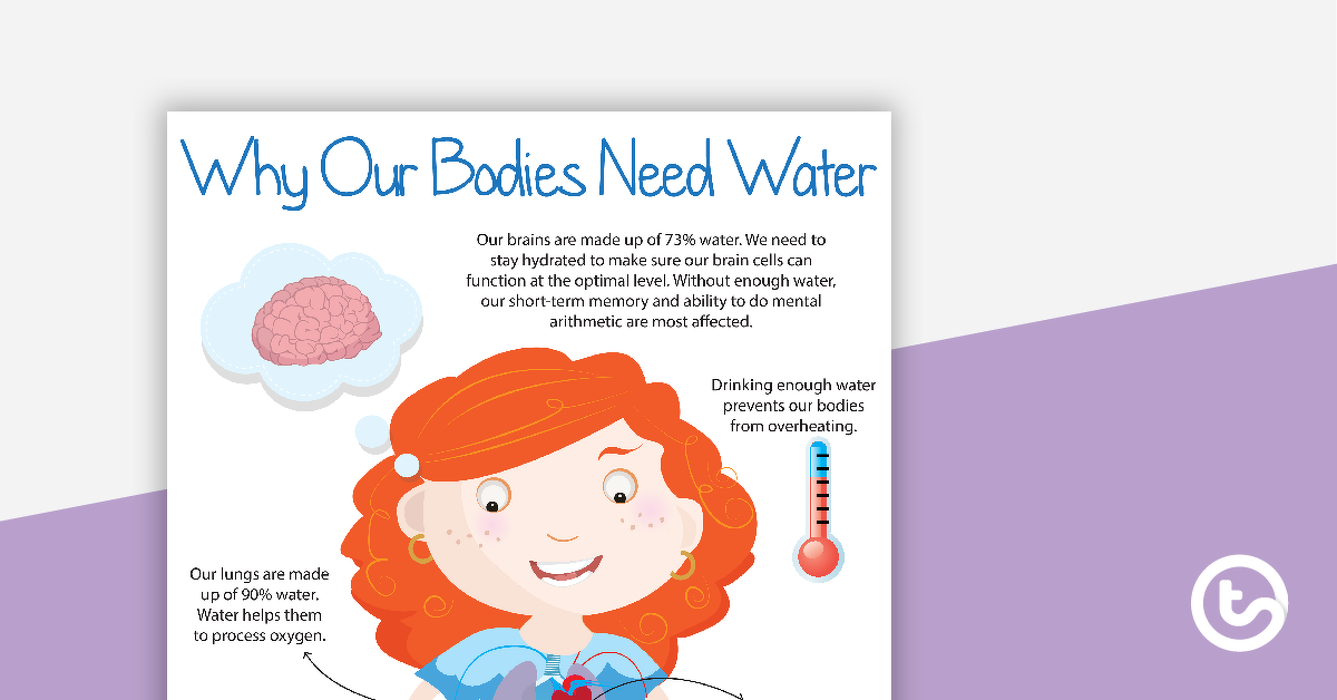 Preview image for Why Our Bodies Need Water Poster - teaching resource