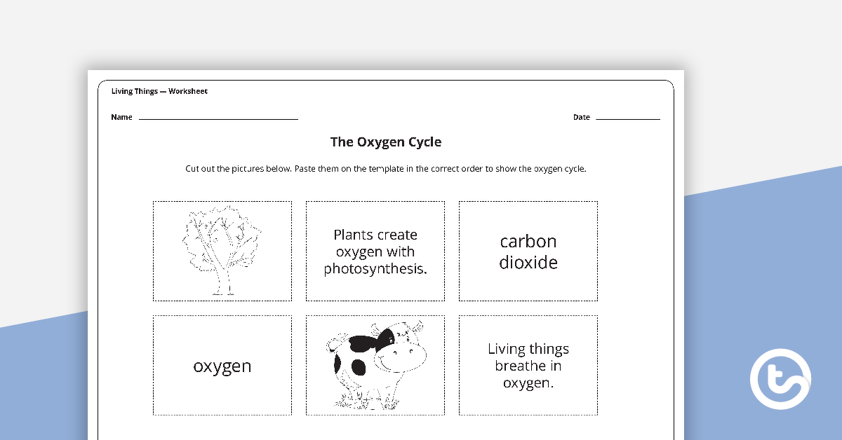 预览图像The Oxygen Cycle - Worksheet - teaching resource