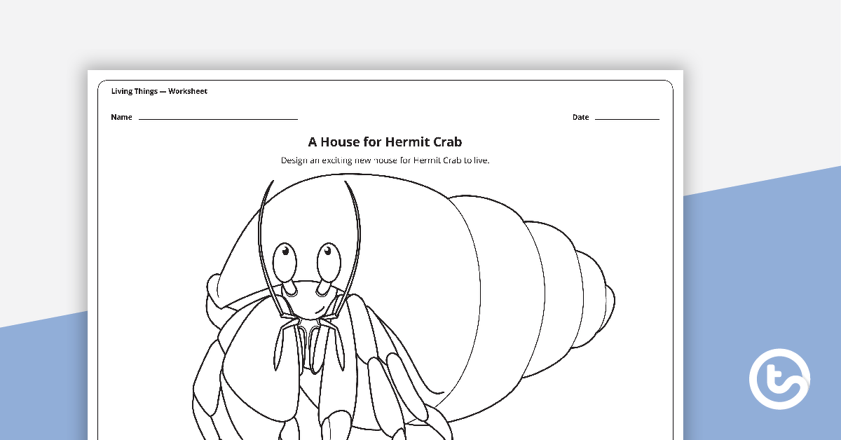 Preview image for A House for Hermit Crab - Worksheet - teaching resource
