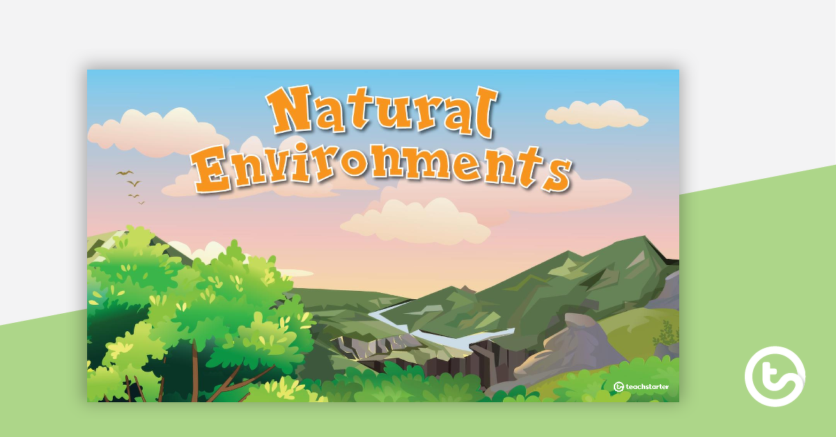 Preview image for Introduction to Environments Poster Set - teaching resource