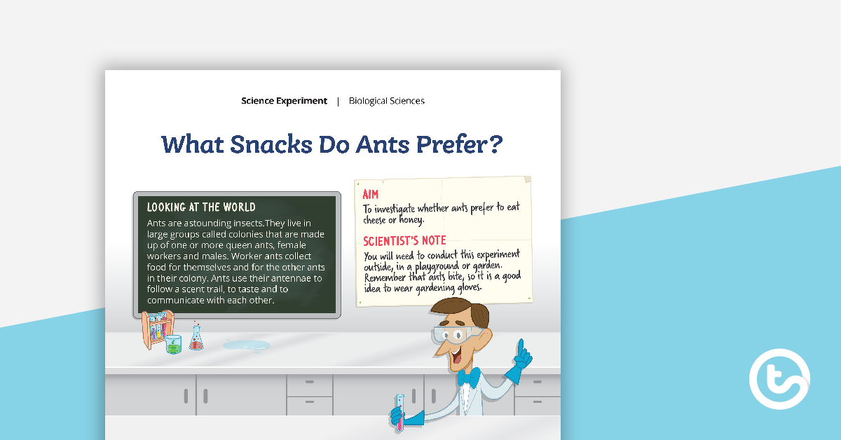 预览图像科学实验——蚂蚁喜欢什么点心?——教学资源