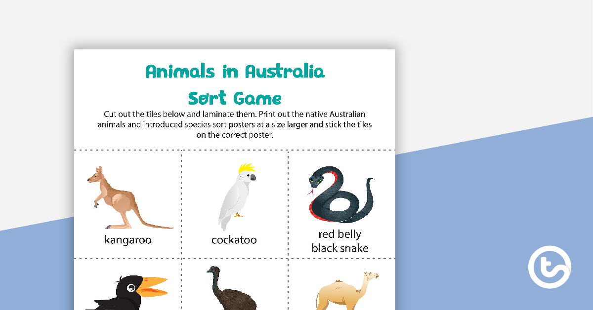 预览图像的动物在澳大利亚排序游戏-教学资源