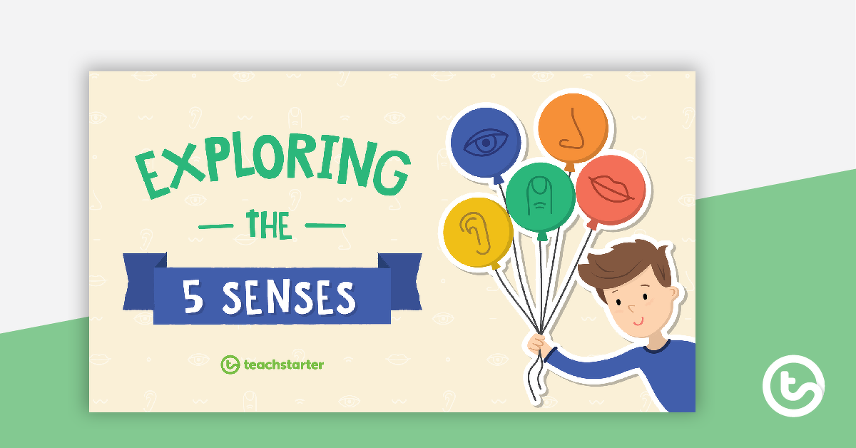 Preview image for Exploring the 5 Senses PowerPoint - teaching resource