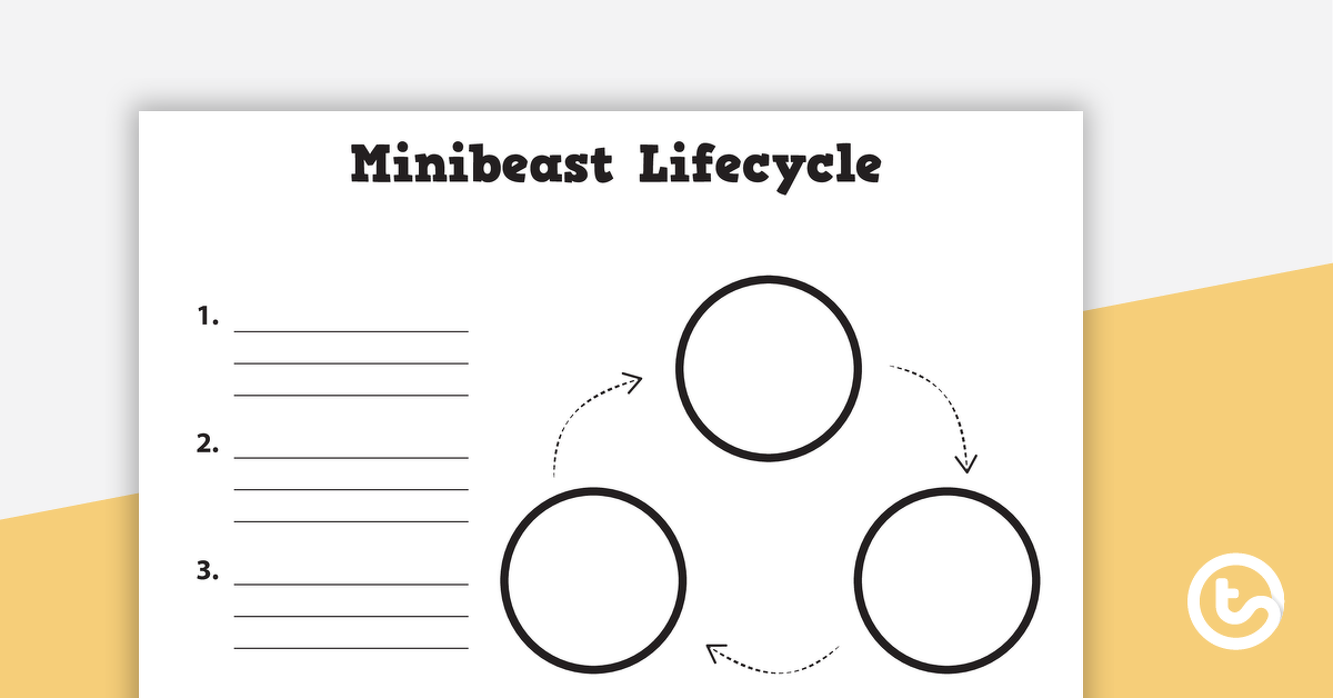 预览图像Minibeast生命周期——空白模板——教学资源