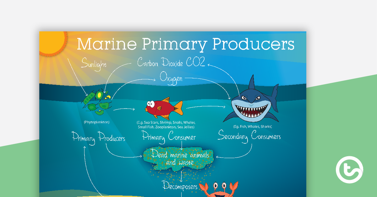 预览图像海洋初级生产者——教学资源