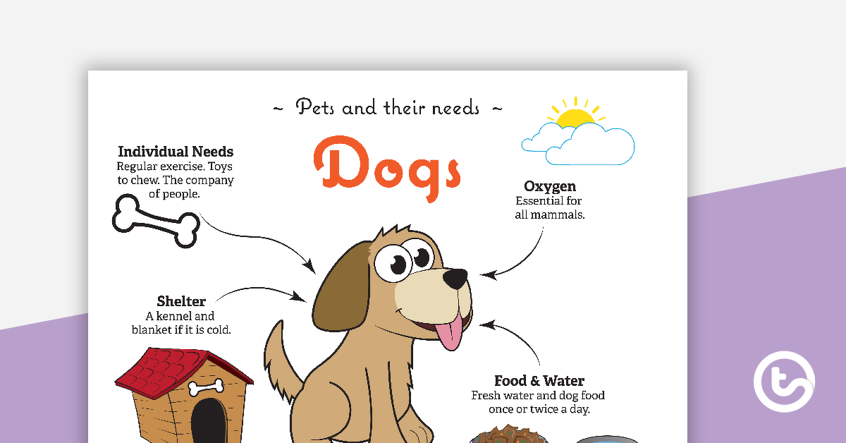 Preview image for Pets and Their Needs Posters - teaching resource