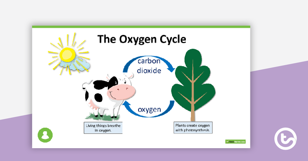 Thumbnail of Living Things Need Oxygen PowerPoint - teaching resource