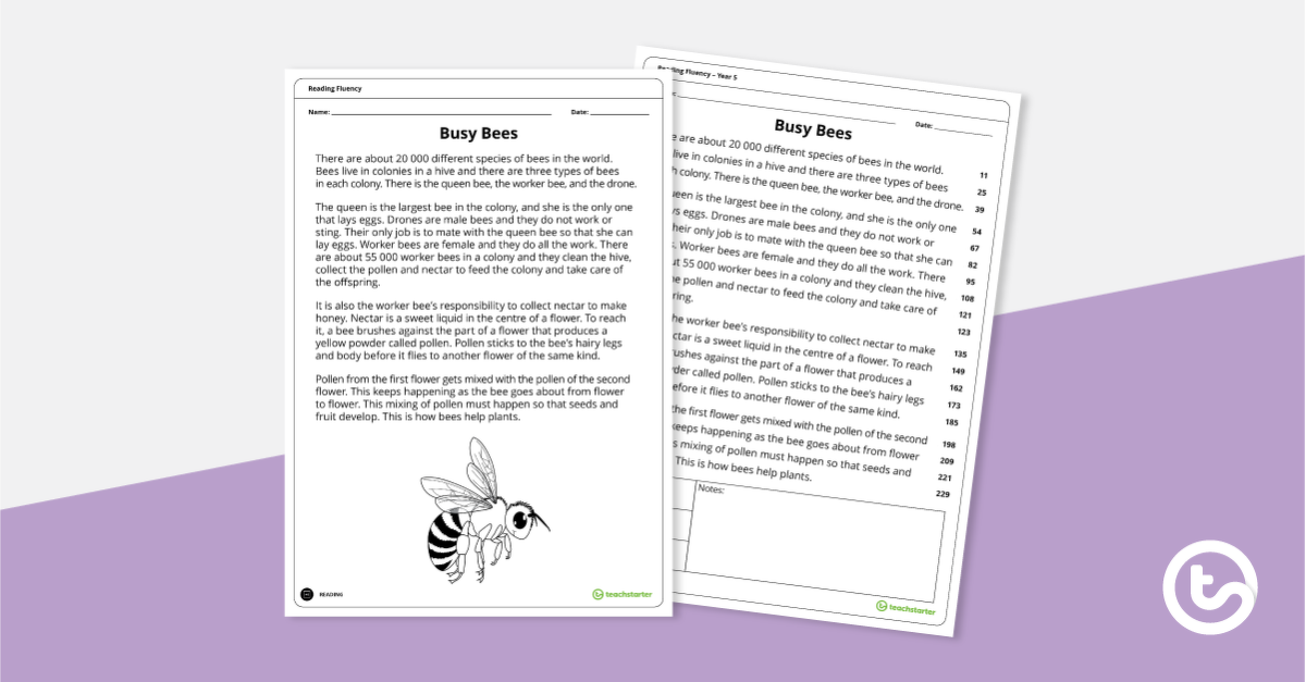 Preview image for Reading Fluency – Busy Bees (Year 5) - teaching resource