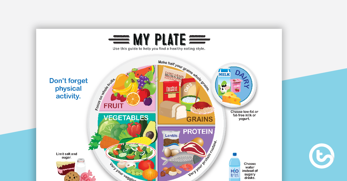 Preview image for My Plate Poster - teaching resource