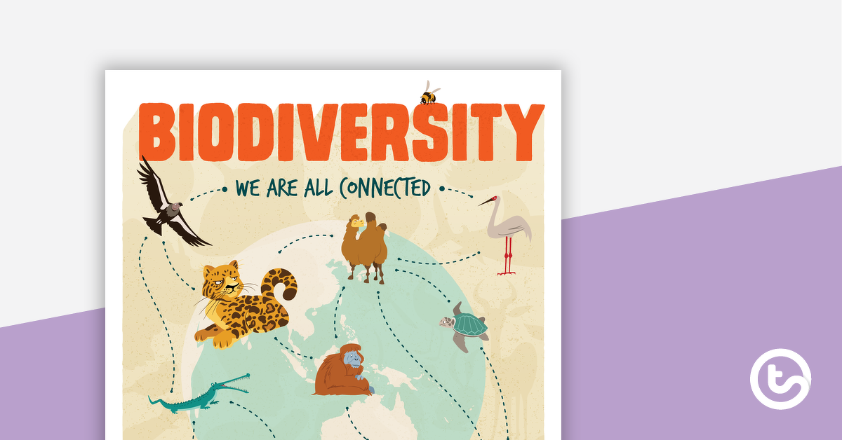 预览图像对生物多样性的海报——教学资源