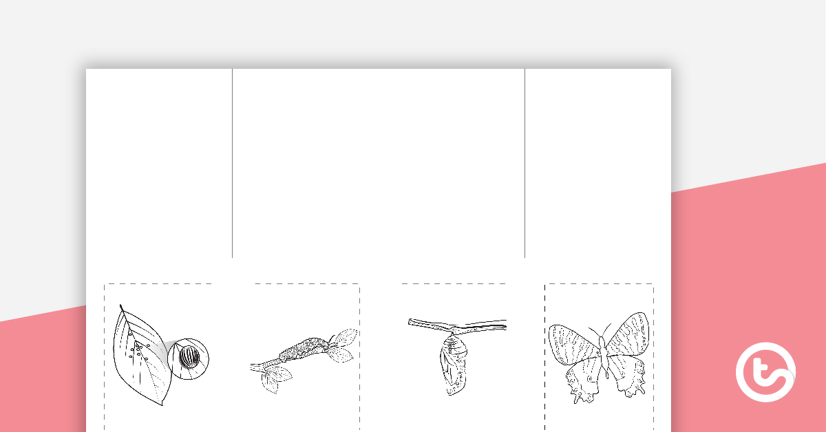 Preview image for Life Cycle of a Butterfly Concertina Activity - teaching resource