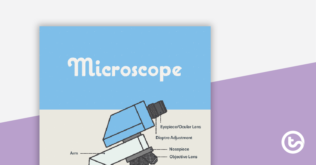 Preview image for Microscope Poster – Diagram with Labels - teaching resource