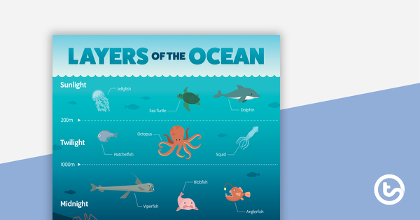 Preview image for Layers of the Ocean Poster - teaching resource