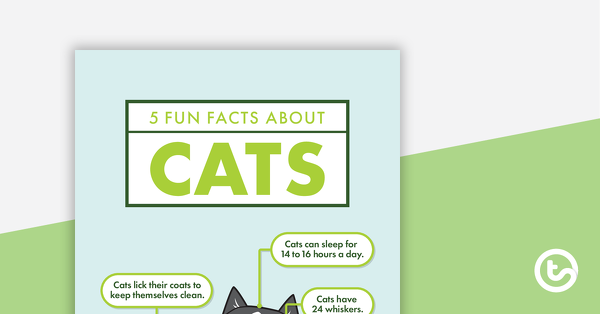 预览图像关于猫的5个有趣的事实-阅读和回应工作表-教学资源