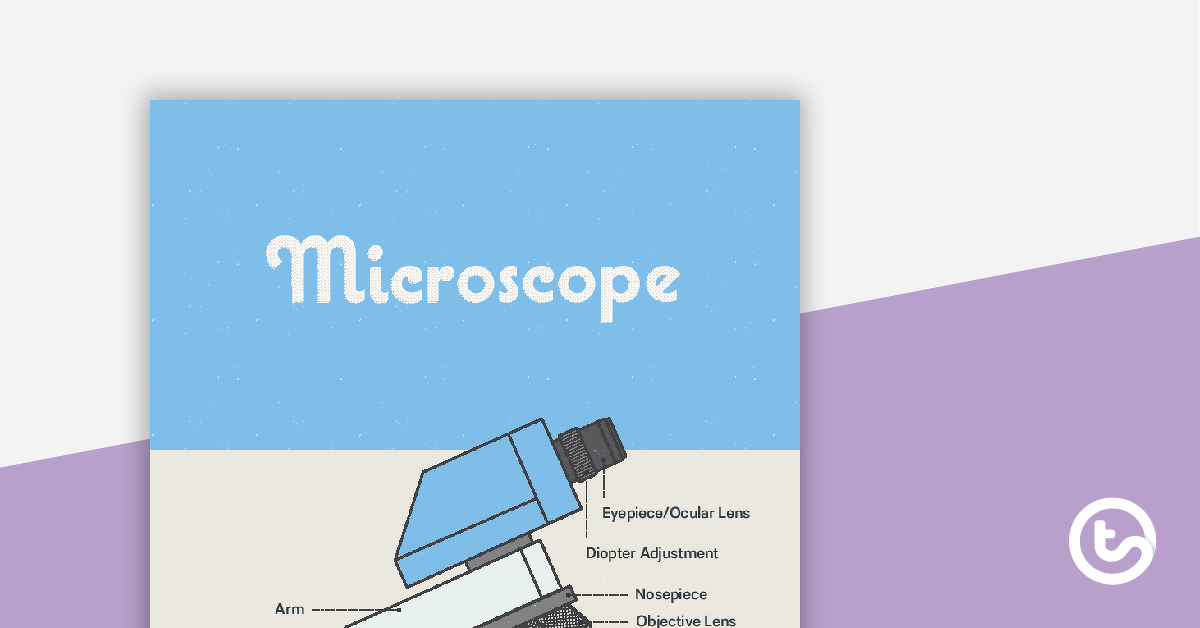 Preview image for Microscope Poster - Diagram with Labels - teaching resource