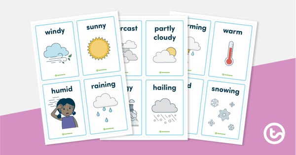 预览图像提示卡片——天气词汇教学资源