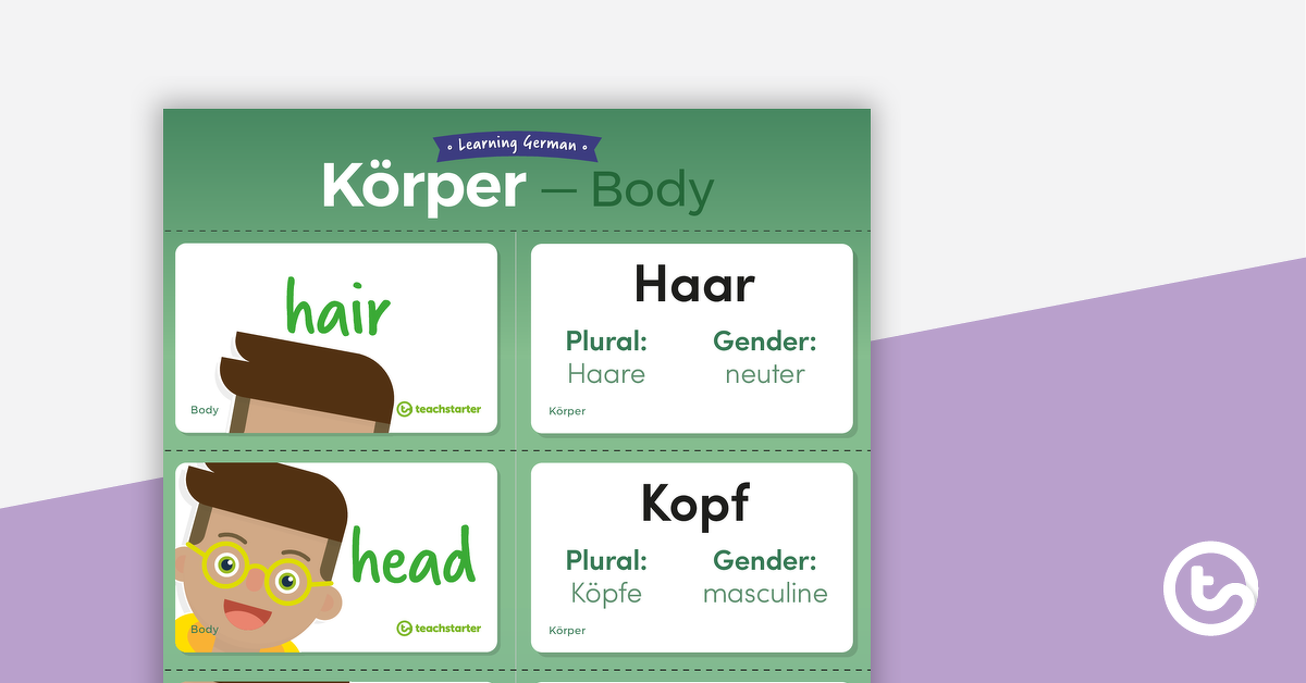 Preview image for Body – German Language Flashcards - teaching resource