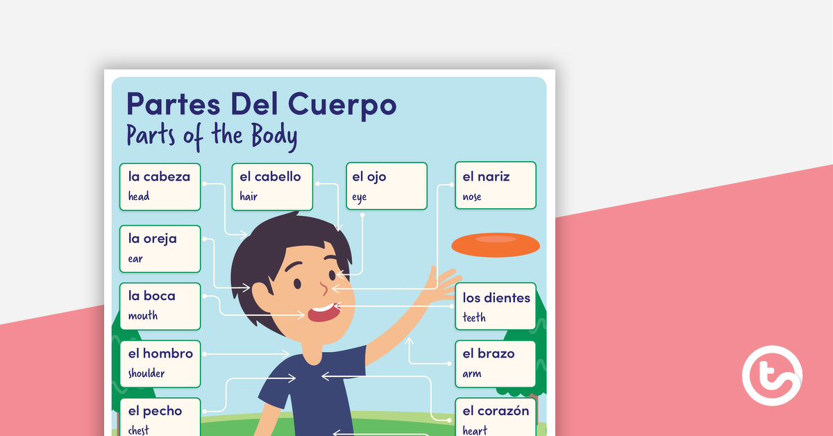 预览图像的身体——西班牙语的海报——教学资源