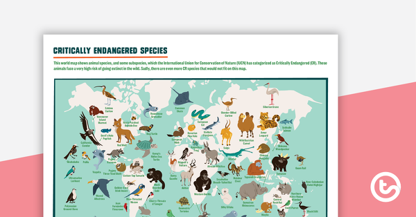 Preview image for Critically Endangered Species Map – Poster - teaching resource