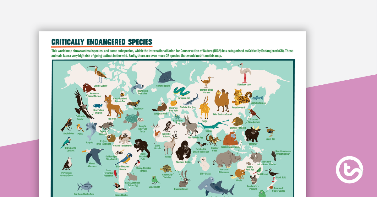Preview image for Critically Endangered Species Map – Poster - teaching resource