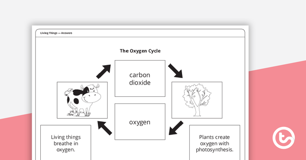 氧气循环-工作表-教学资源的缩略图