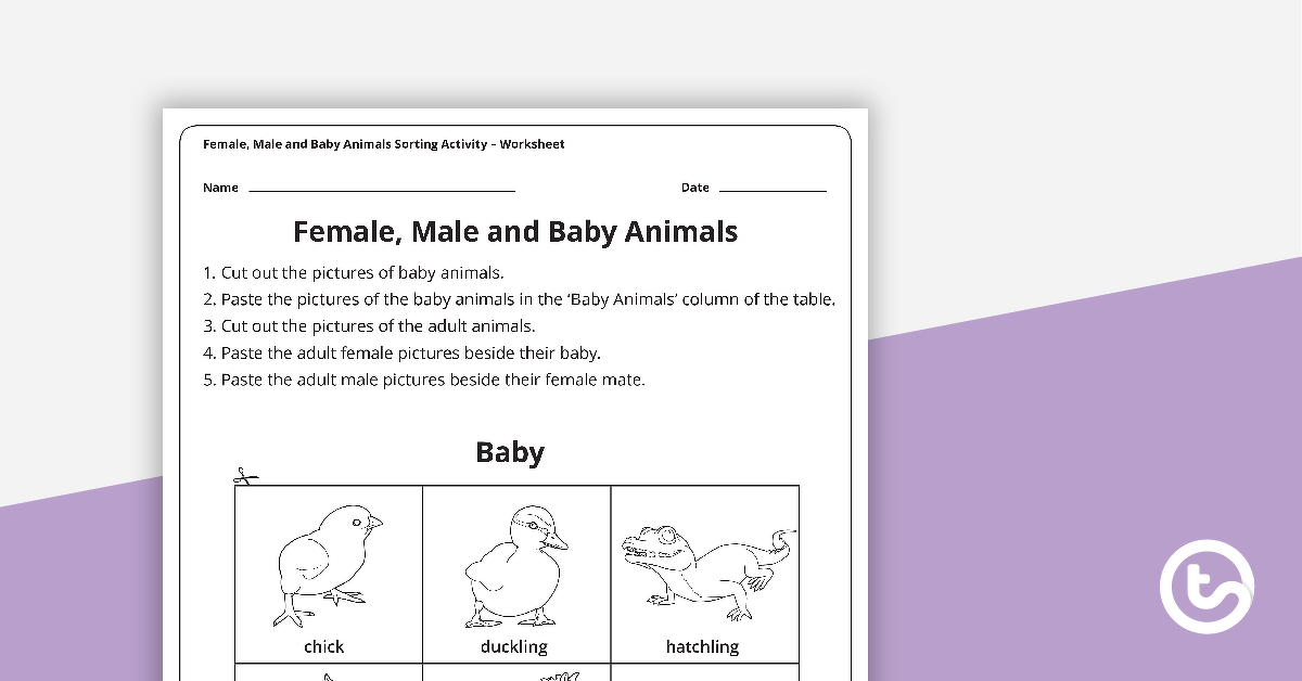 女性，男性和婴儿动物分类活动的预览图像 - 教学资源