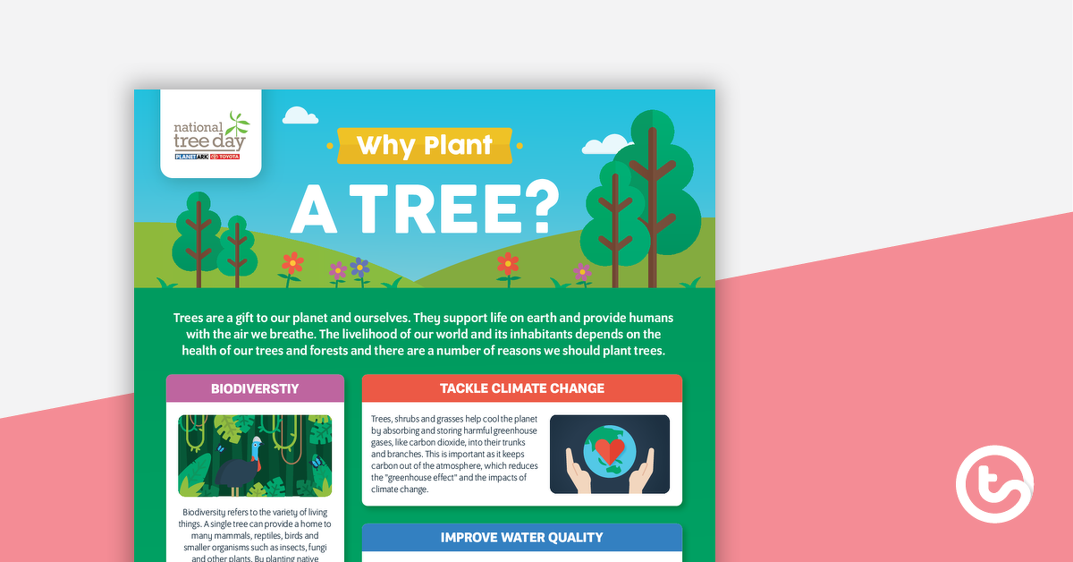 预览全国树日的图像 - 为什么植树一棵树？信息图 - 教学资源