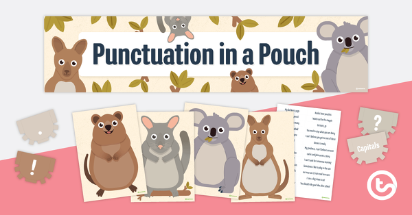 Preview image for Punctuation in a Pouch - teaching resource