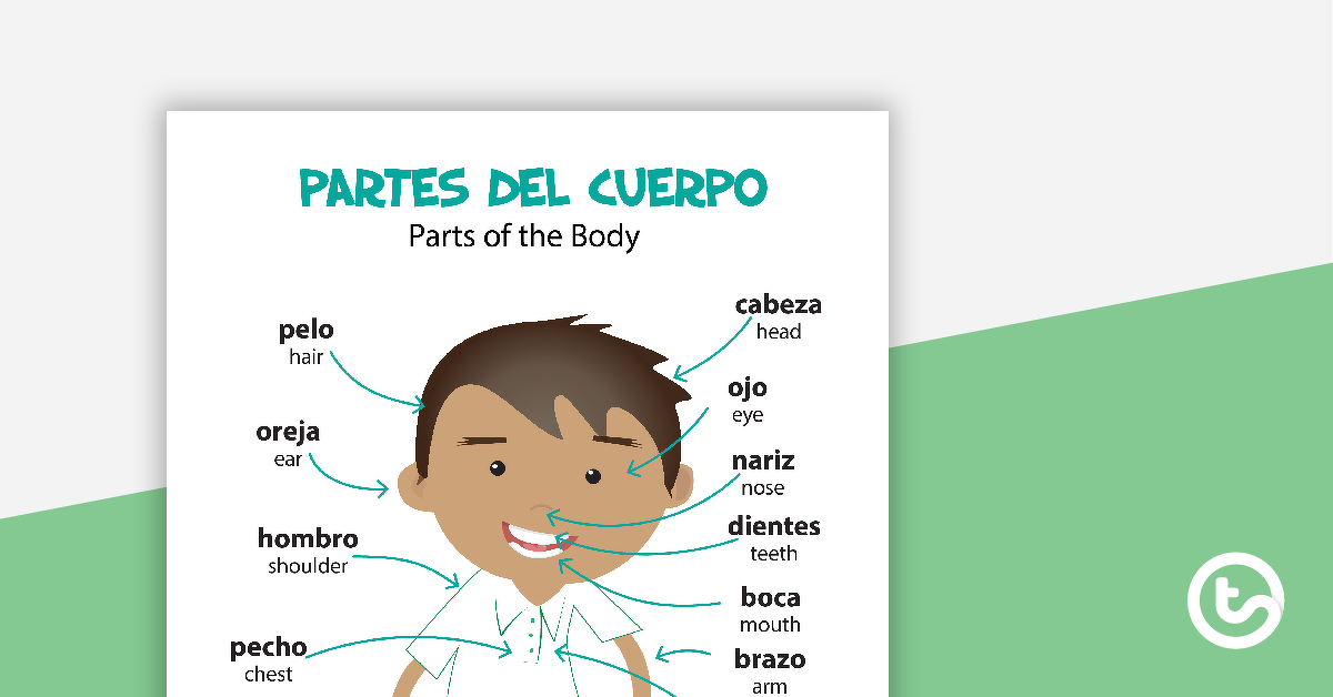 Preview image for Parts of the Body - Spanish Language Poster - teaching resource