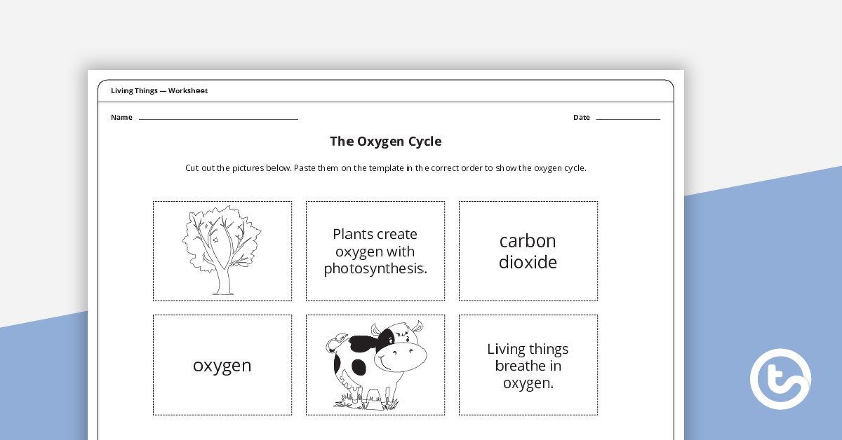 预览图像的氧气循环——工作表——教学资源