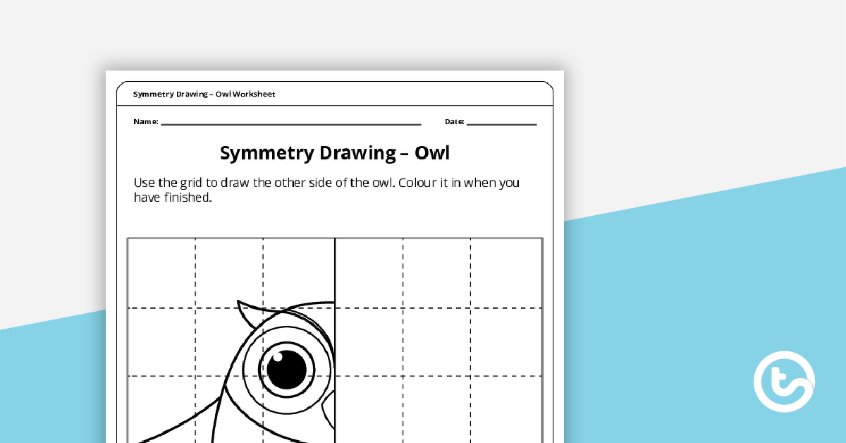 Preview image for Grid Symmetry Drawing - Owl - teaching resource