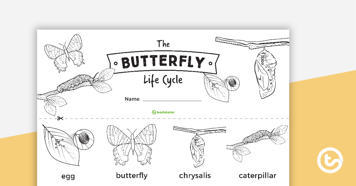 预览图像句子带蝴蝶的生命周期——教学资源