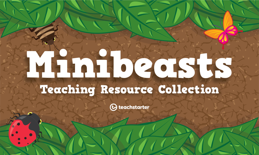预览图像Minibeasts教学资源包——资源包