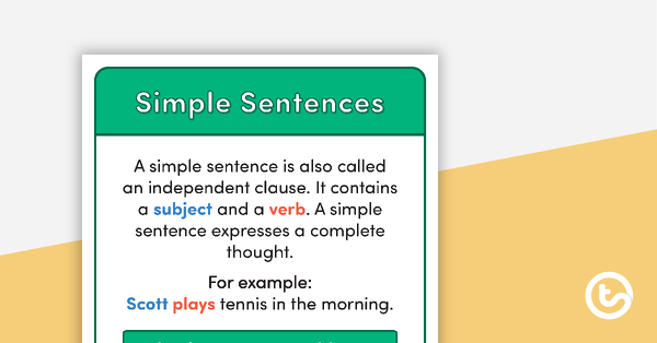 Types of Sentences Posters - Large Text | Teach Starter