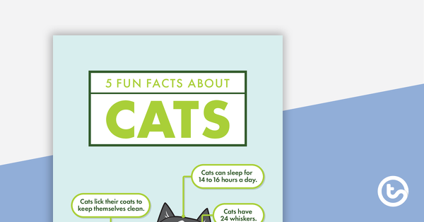 预览图像为猫的5个有趣的事实 - 阅读和响应工作表 - 教学资源