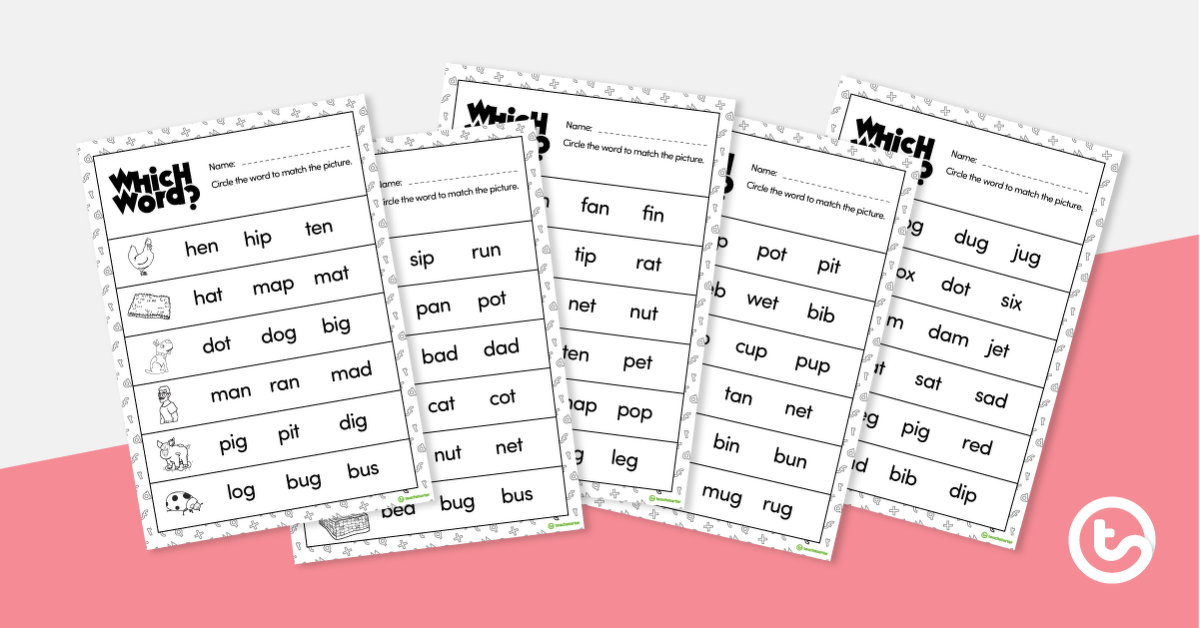 Preview image for Which Word? CVC Decoding Worksheets - teaching resource