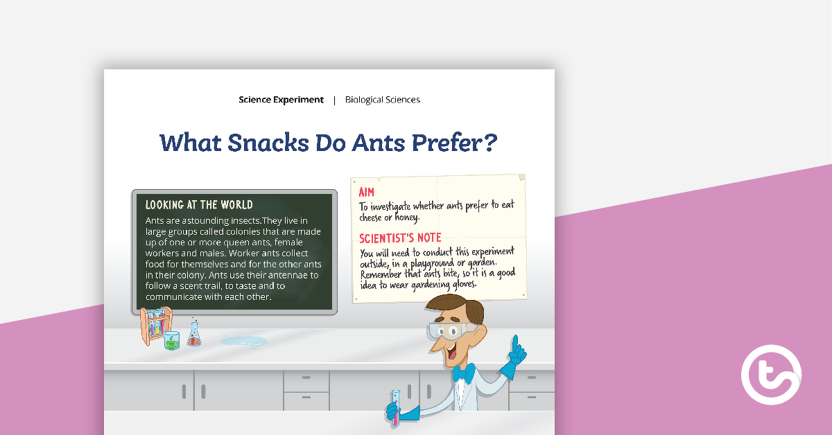 科学实验预览图-蚂蚁喜欢吃什么零食?——教学资源