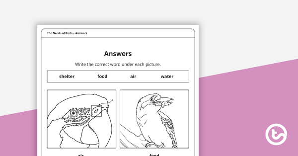 Thumbnail of The Needs of Birds – Worksheet - teaching resource