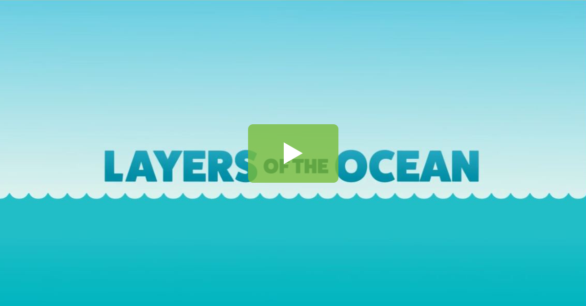 预览图像层的海洋科学活动——视频