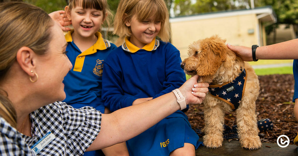 Preview image for Meet Auggie: The School Therapy Dog Impacting Kids and Staff - blog