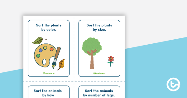 预览图像对于植物和动物-任务卡片教学资源
